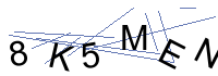 Security Captcha